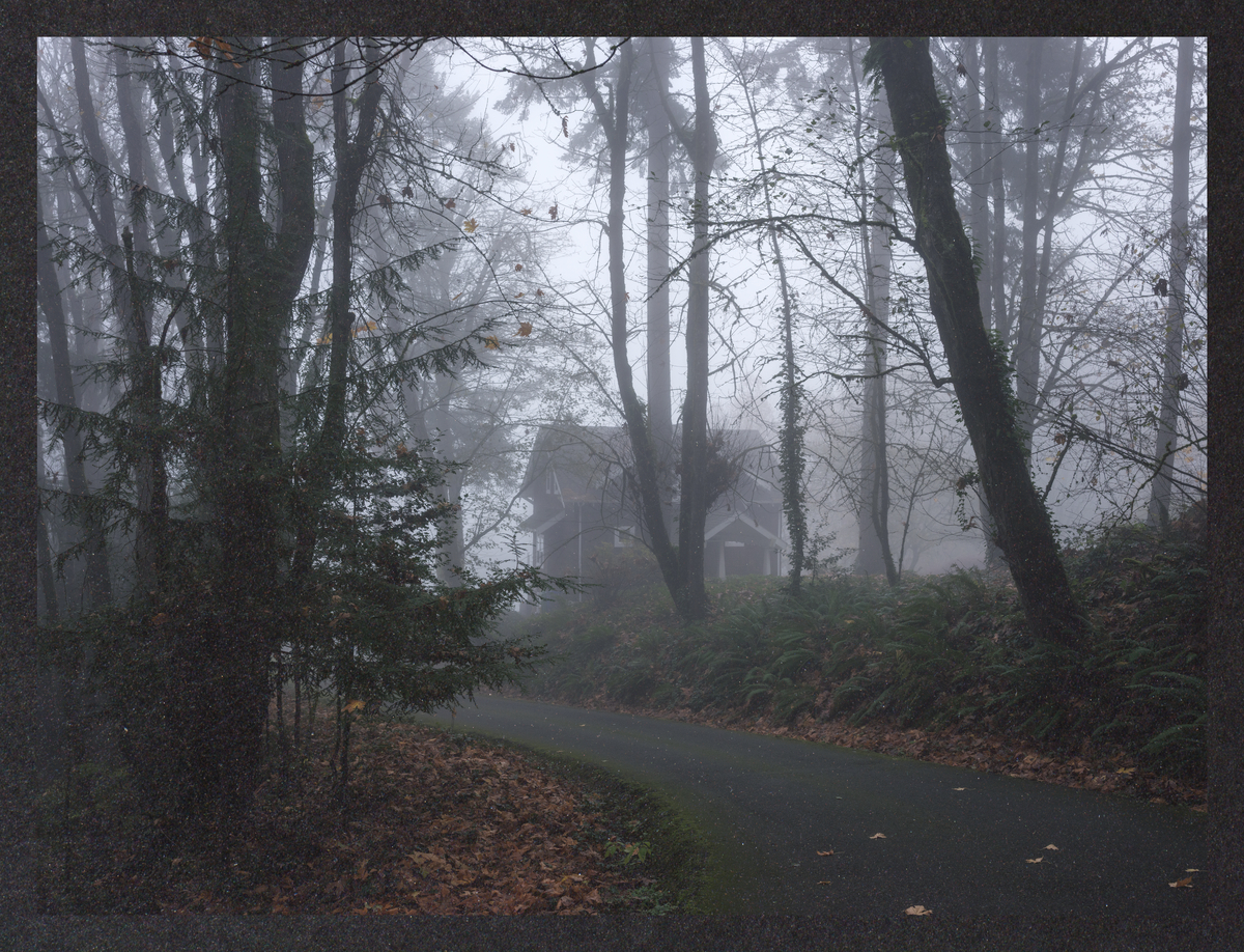 cold-dreaming/DSCF1378-Mockup