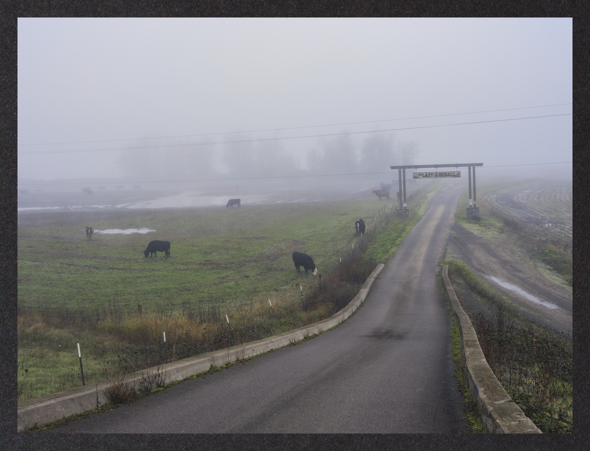 cold-dreaming/DSCF1457-Mockup