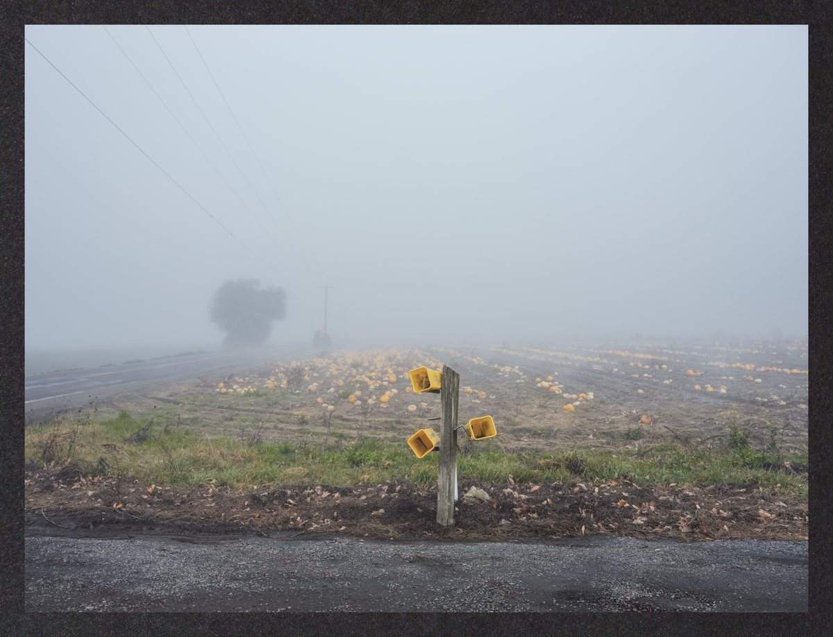 cold-dreaming/DSCF2086-Mockup