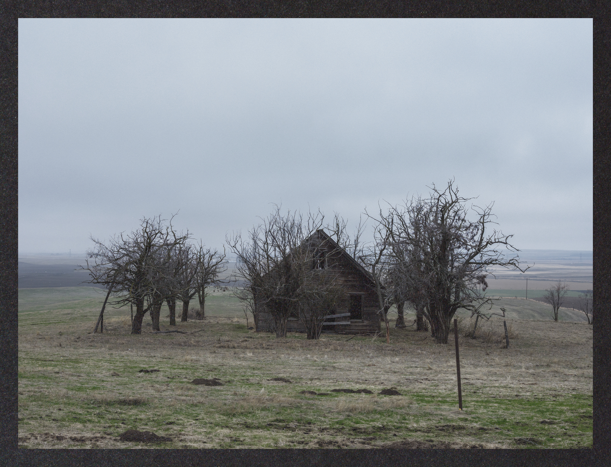 cold-dreaming/DSCF7247-Mockup