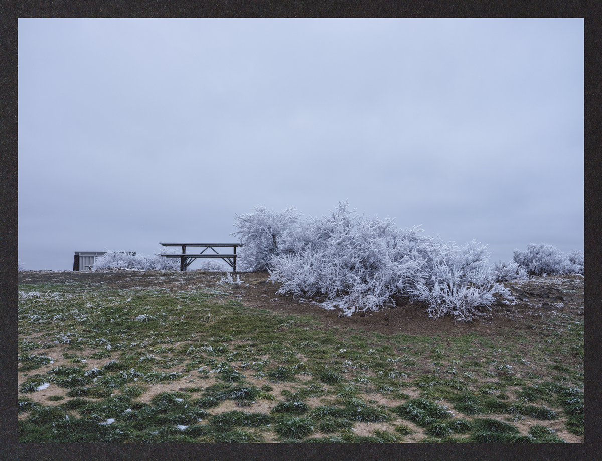 cold-dreaming/DSCF7357-Mockup