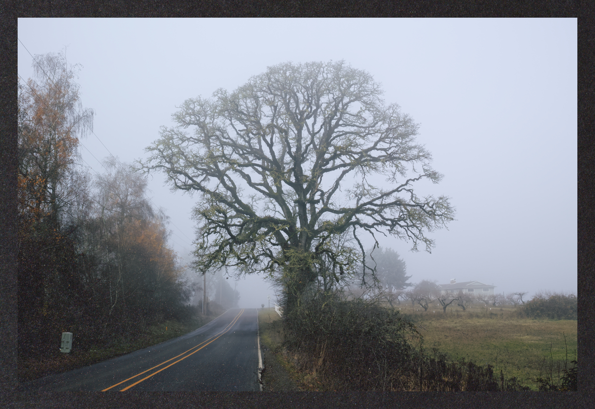 cold-dreaming/SDIM3004-Mockup