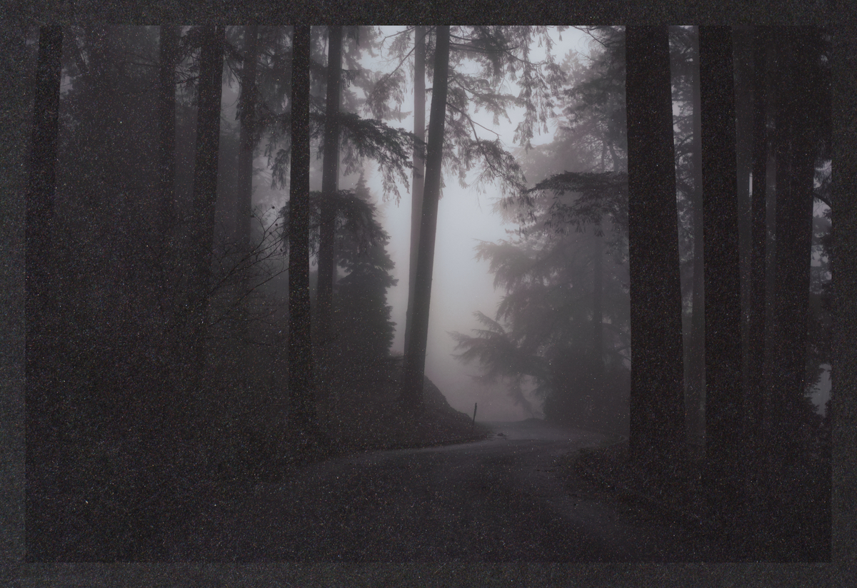 cold-dreaming/SDIM8420-Mockup