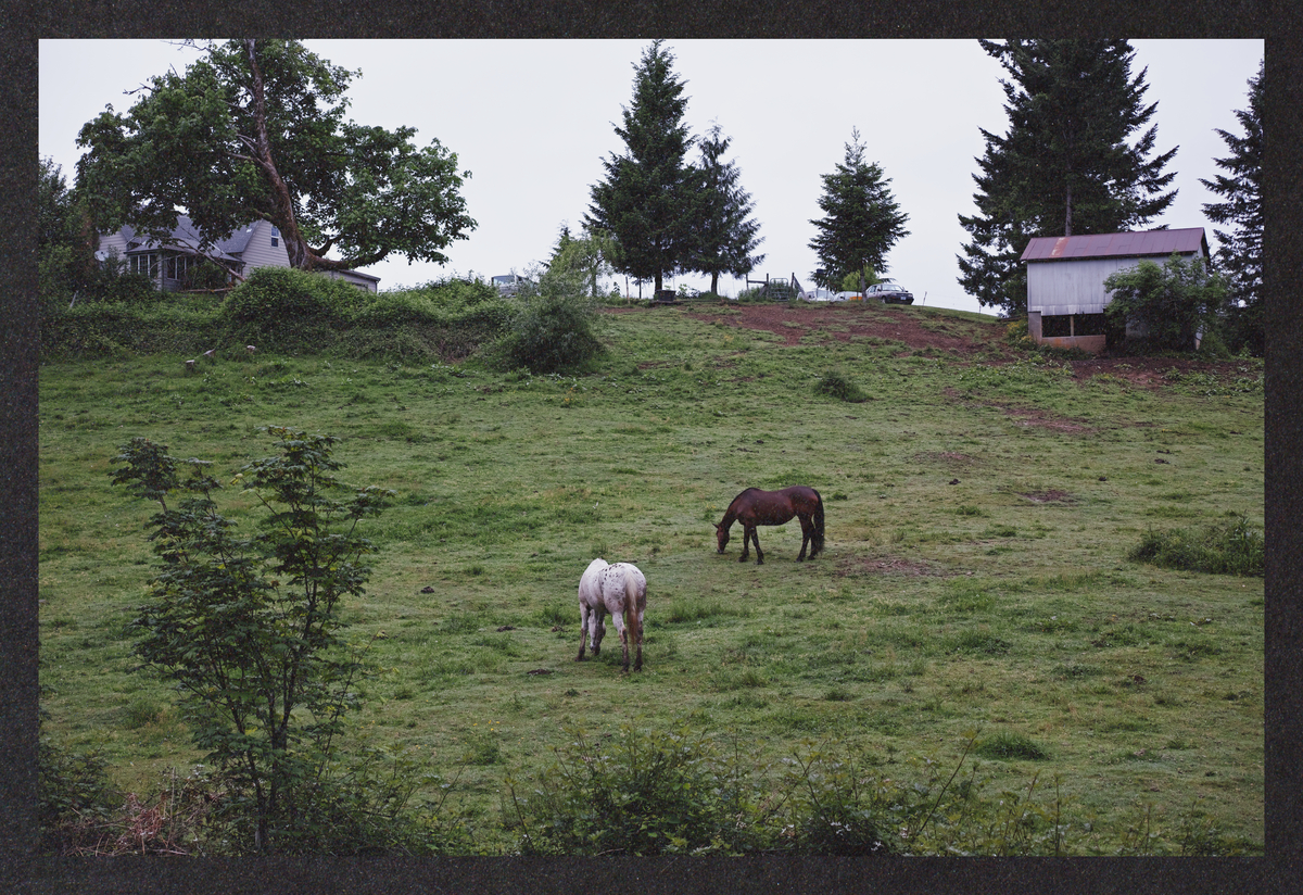 cold-dreaming/SDIM9117-Mockup