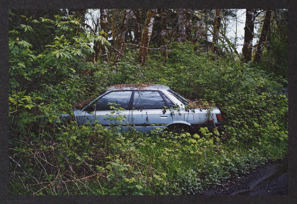 what-lies-in-ruin/SDIM5346-Mockup